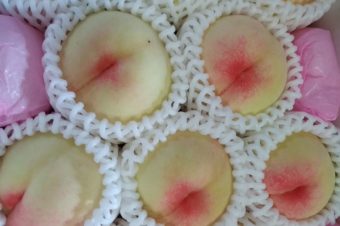 農業用ミネラルで育てた岡山の白桃が届きました。
